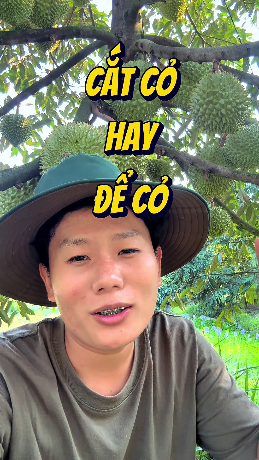 @Hưng Farm - Store