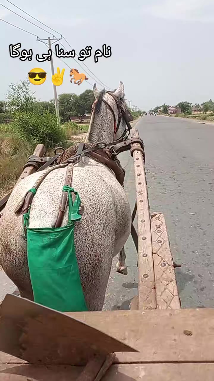 @Irshadmachi456