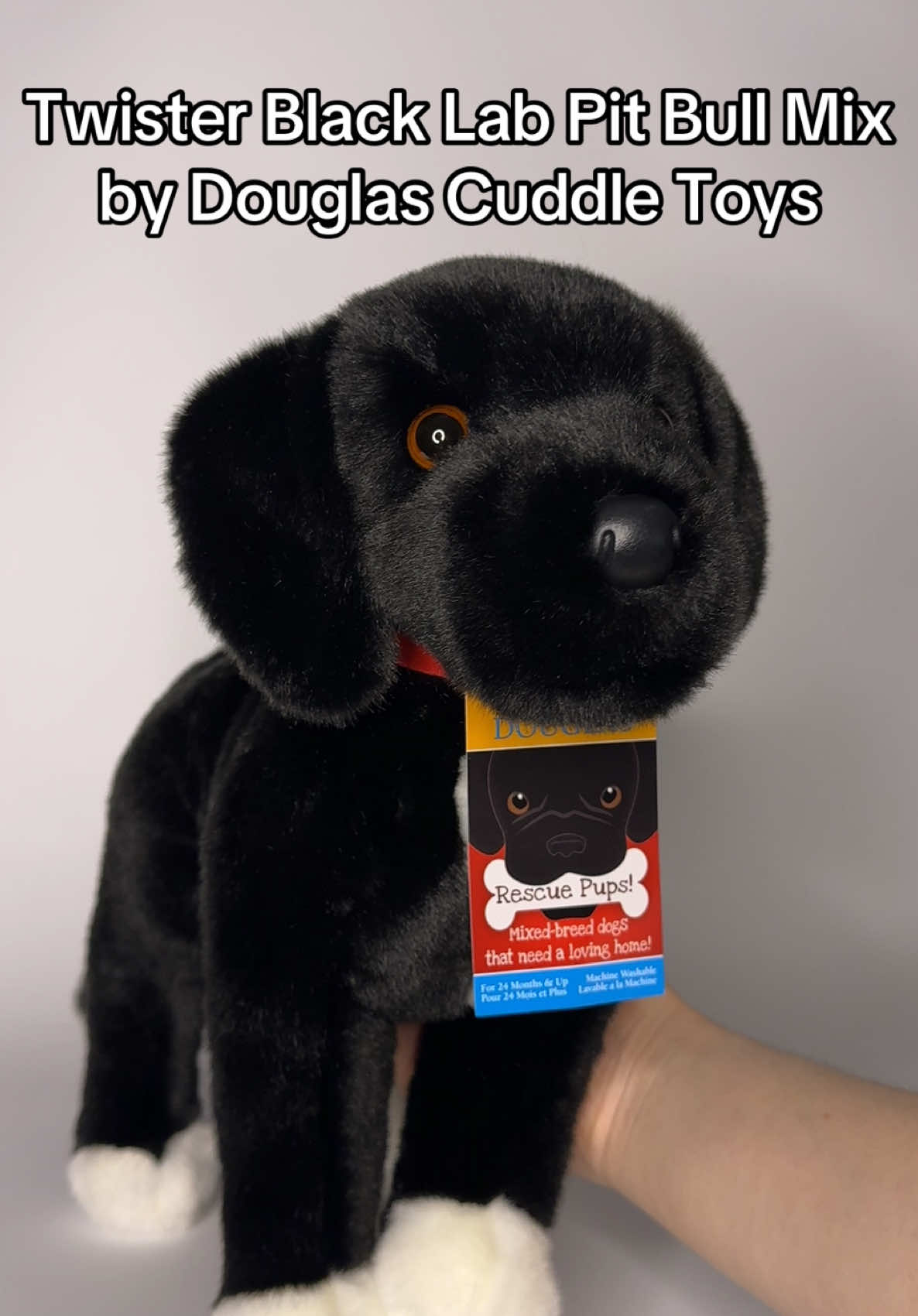 @Wonder Wolf Plush