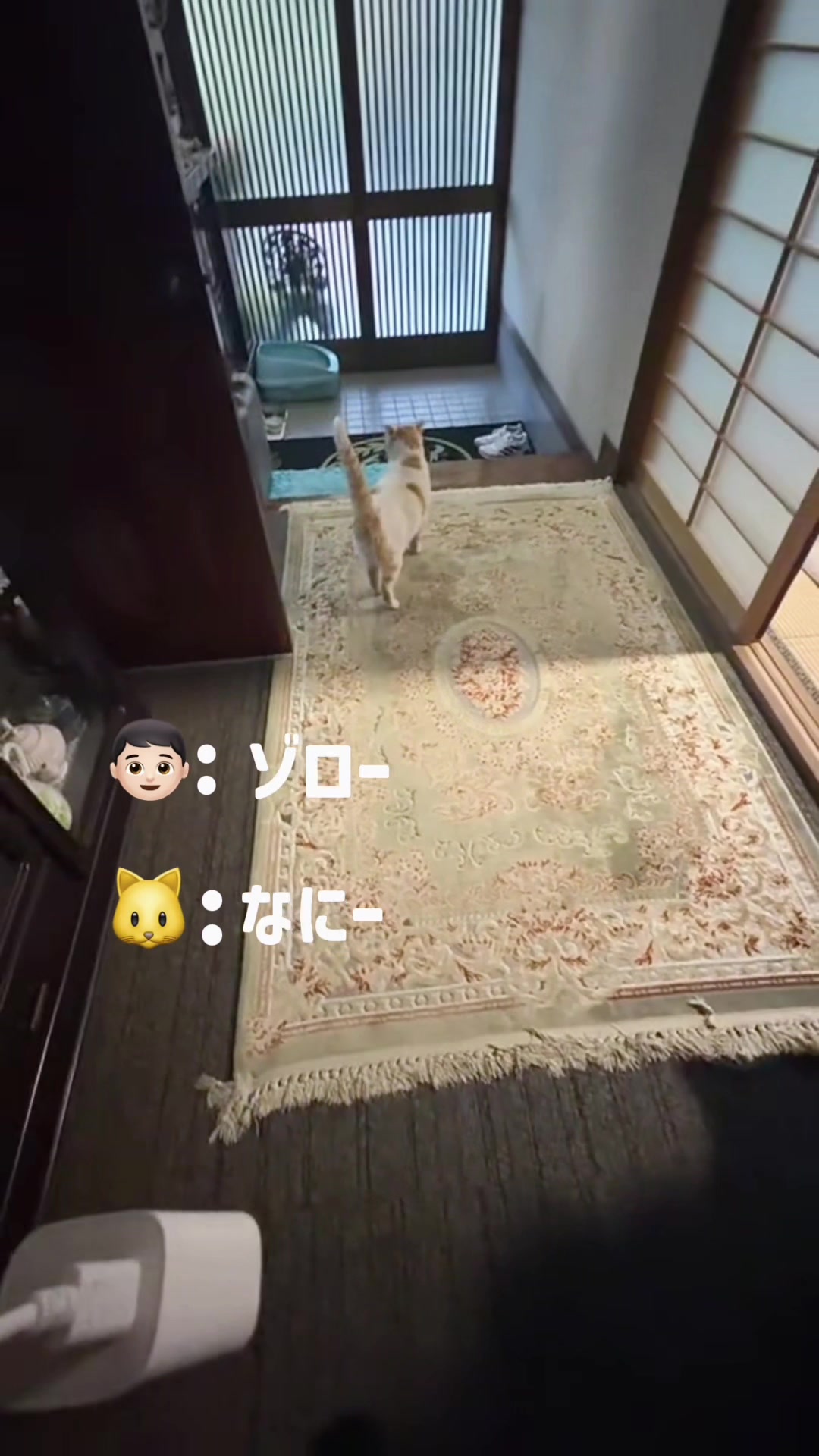 @まなと🇧🇷🇯🇵