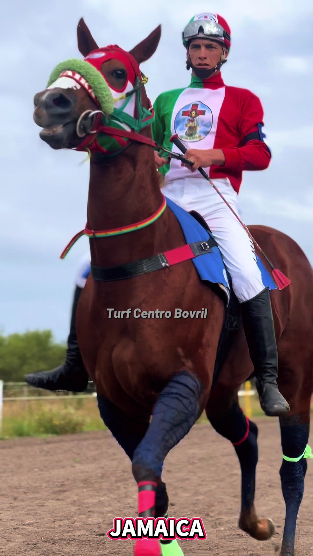 @TURF CENTRO BOVRIL