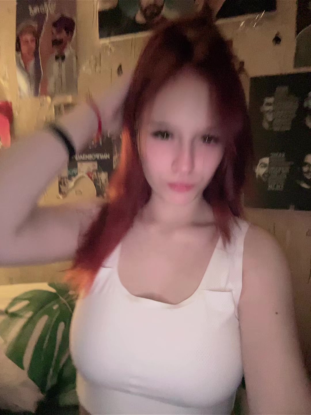 @кошка
