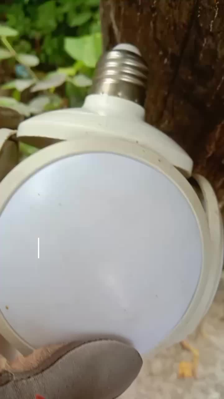 @Jelitaelectroshop