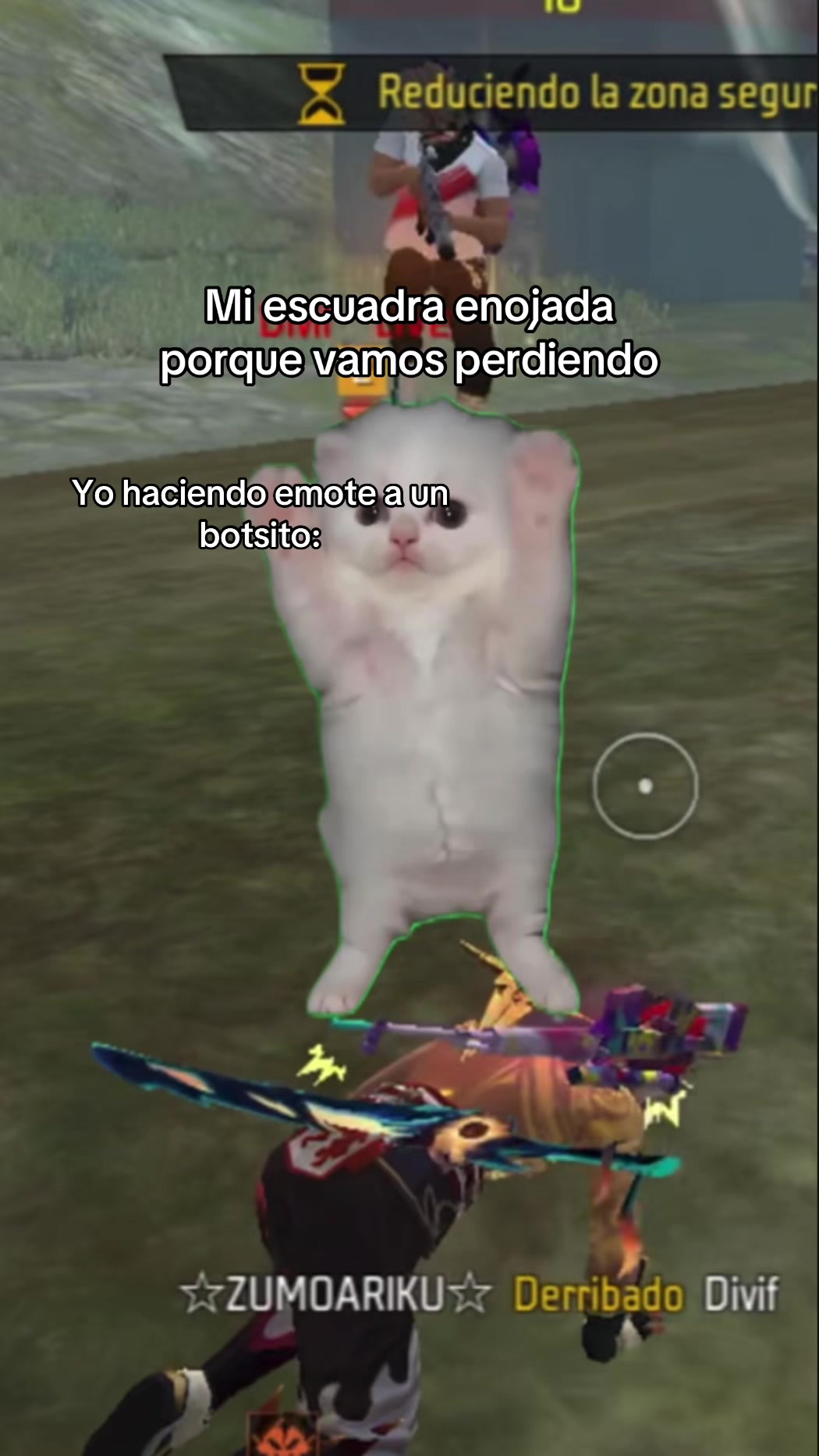 @divifff