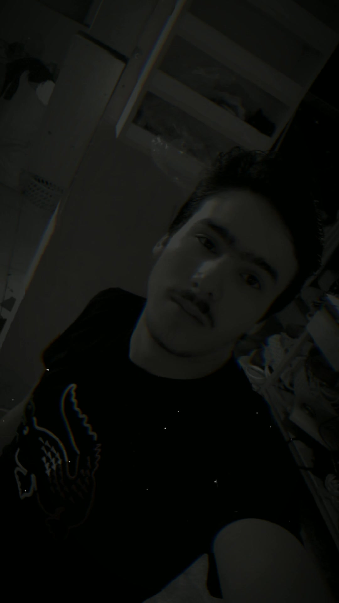 @شاهين شاهين