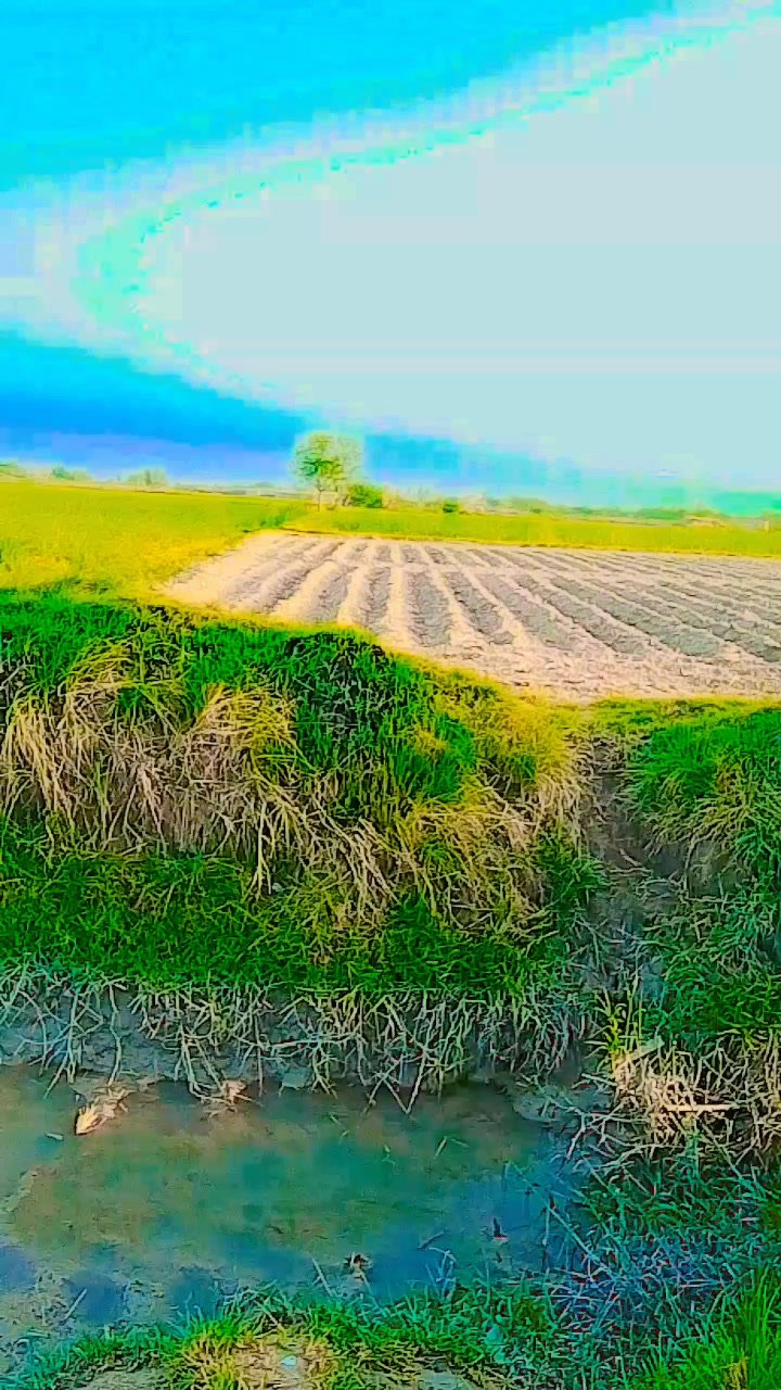 @乂  𝕄𝕌𝐇𝐀𝐌𝕄𝔸𝔻 𝐔𝐑𝐒 &Sigma;(