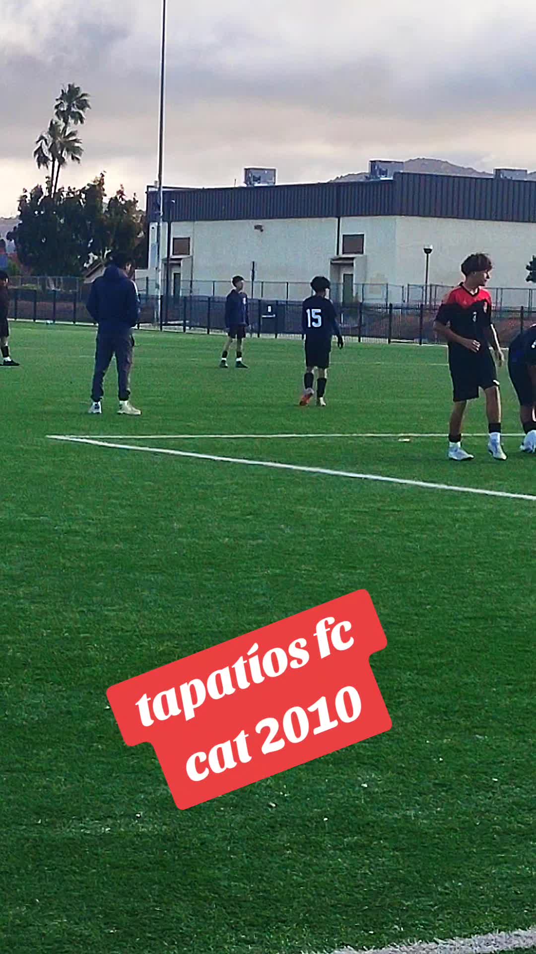 @el puma de manzanillo