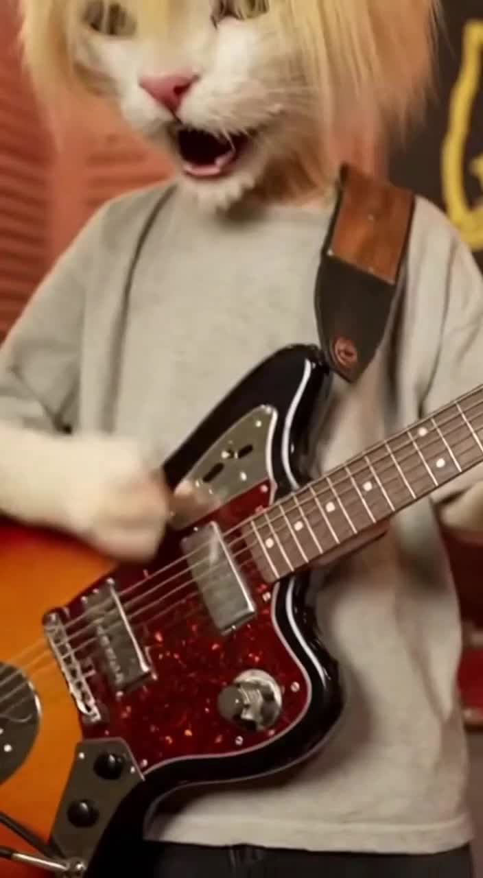 @Nirvana Cats