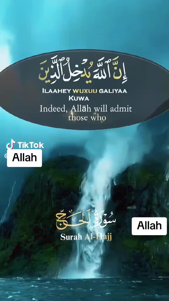 @Syeda Mujahid
