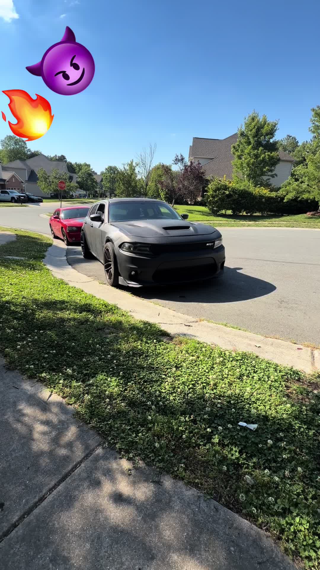 @392 milly