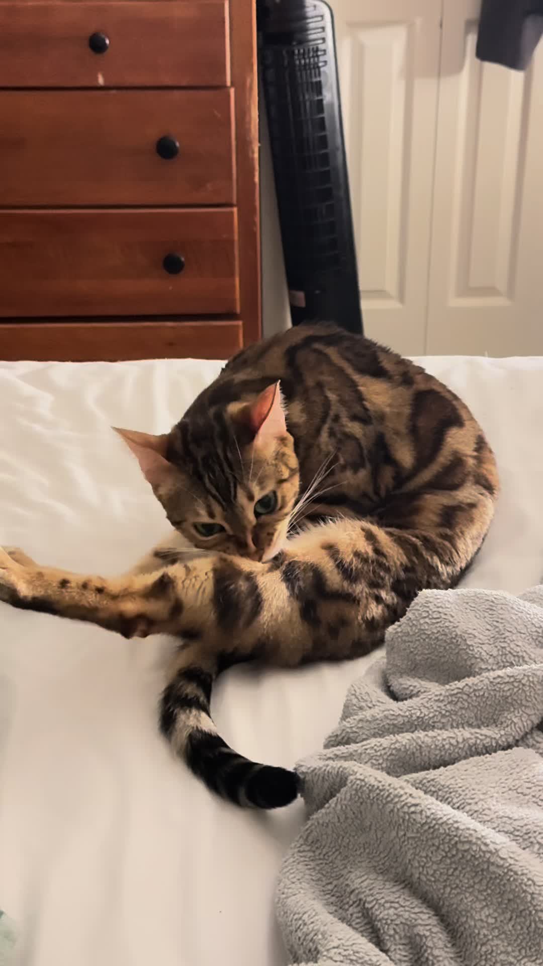 @Drew crazy cat guy