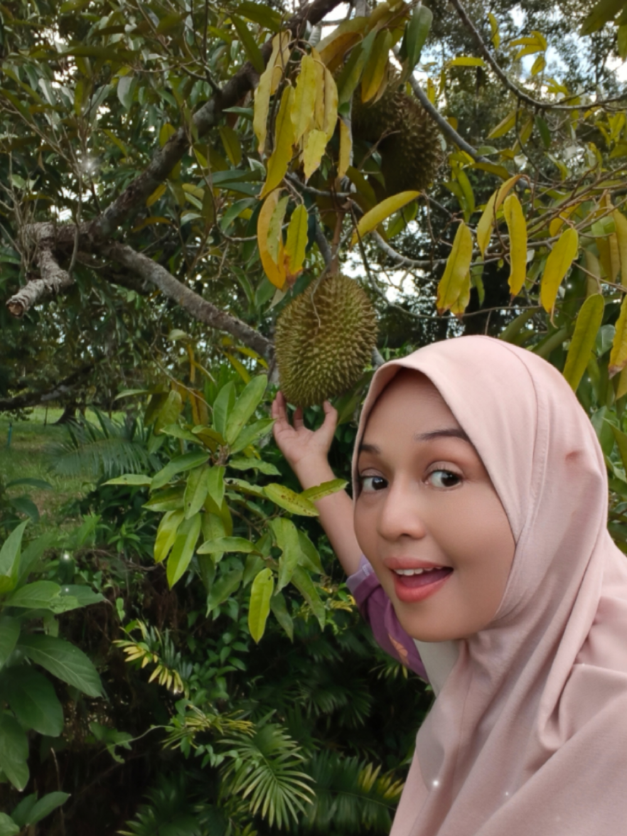 @jasminhamidjh