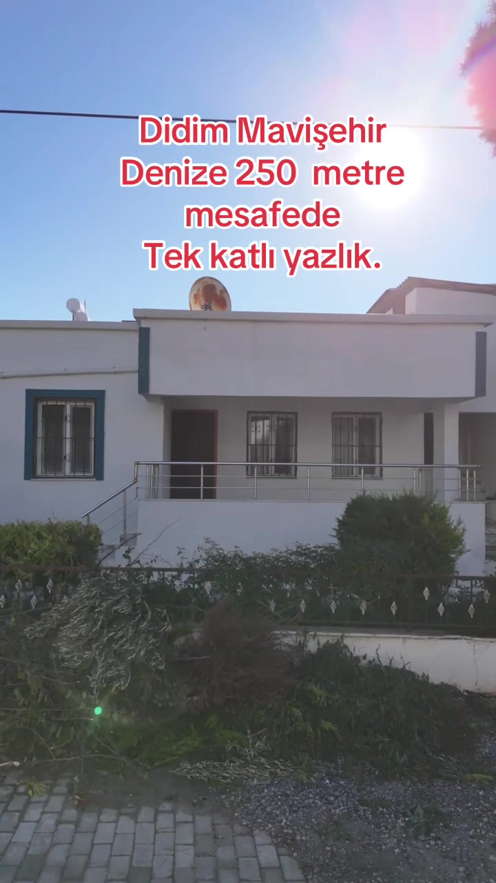 @Özkan Çelikkanat