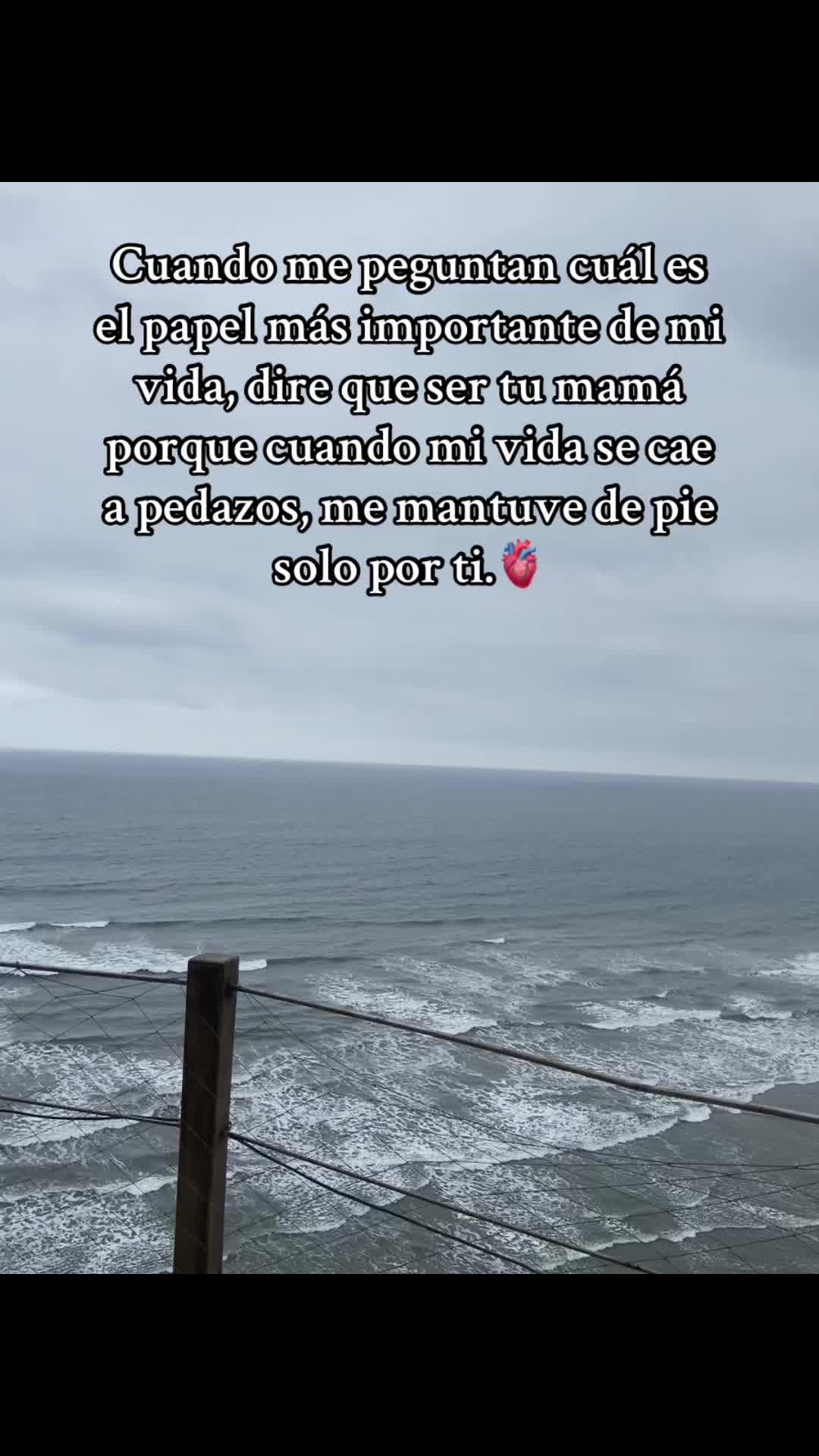 @Anabel Toro C