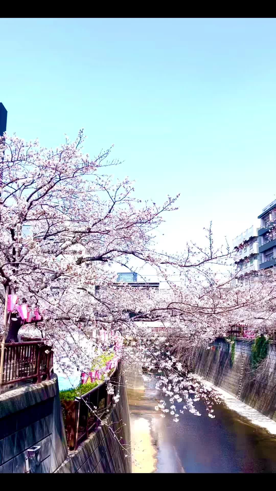 @先走王子
