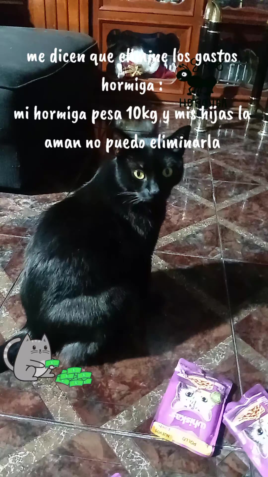 @pam31