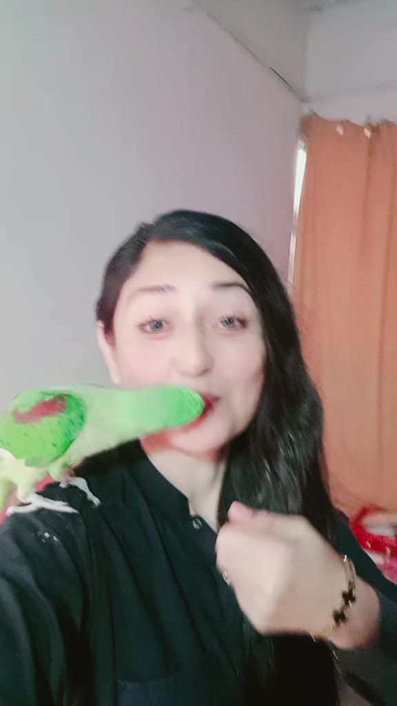 @shabnamkhan5000