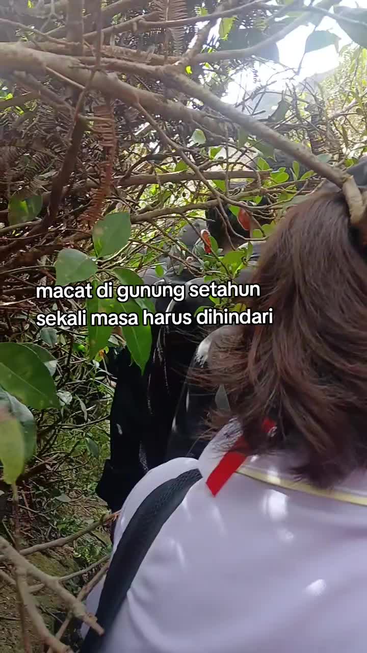 @Dhewy br bgn