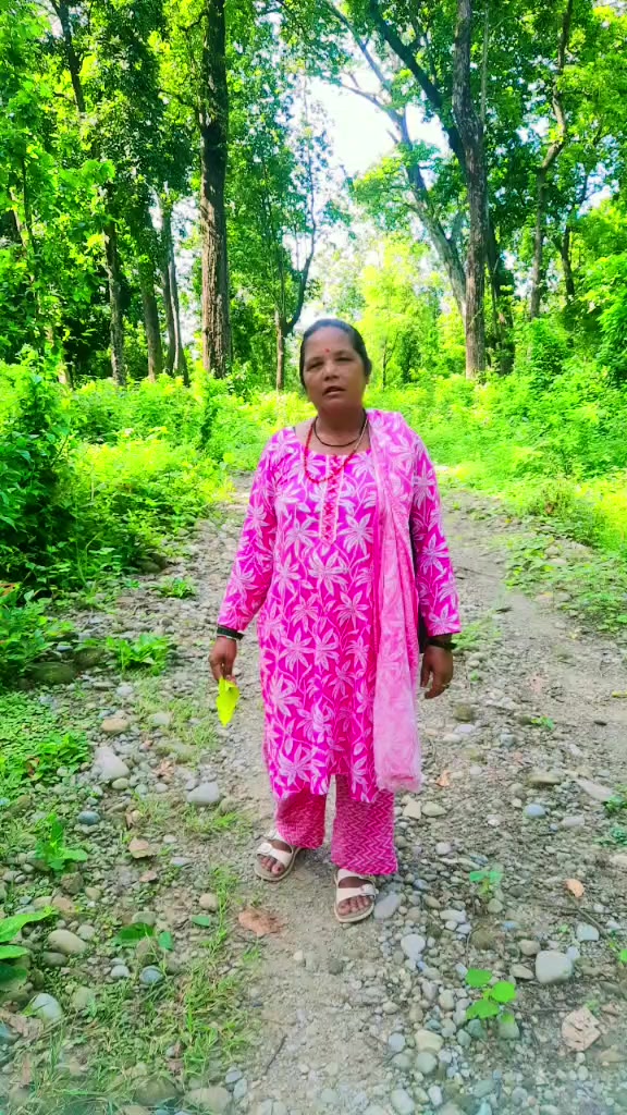 @Sita Devi BC🌼🌺