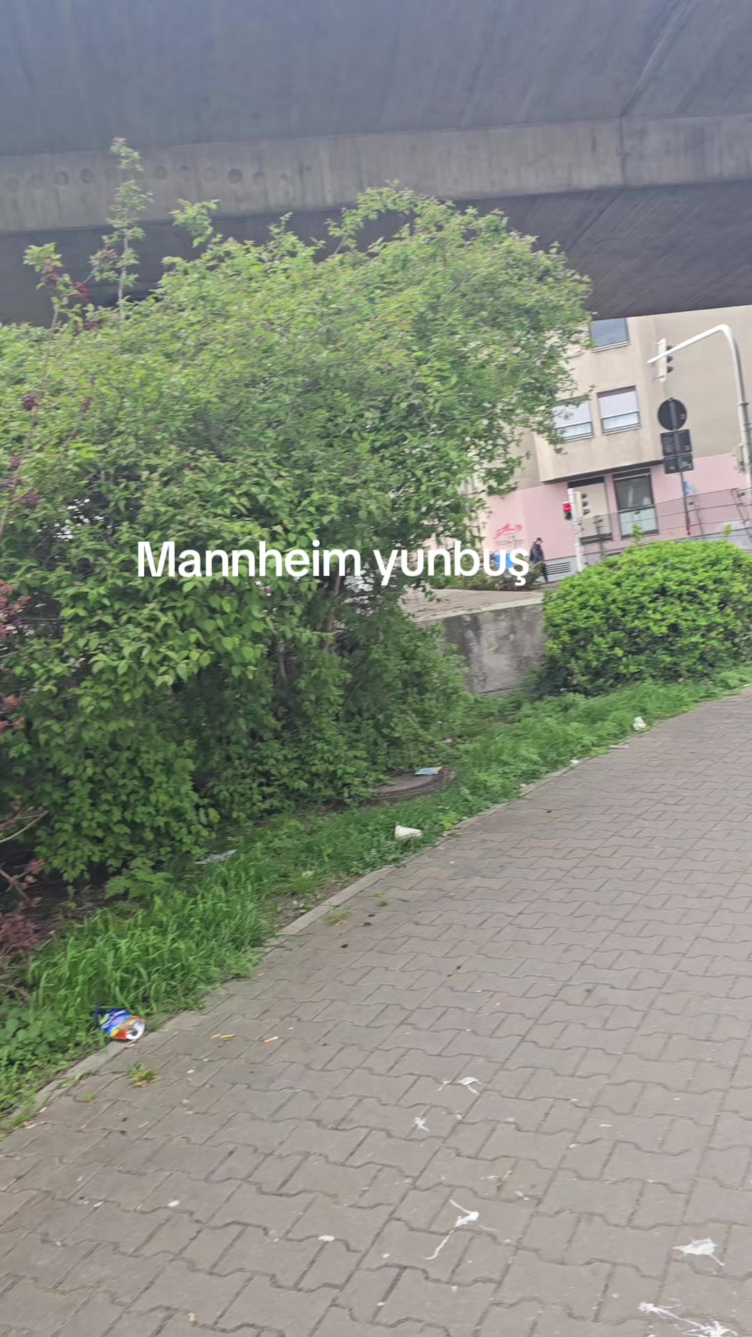 @serife._14