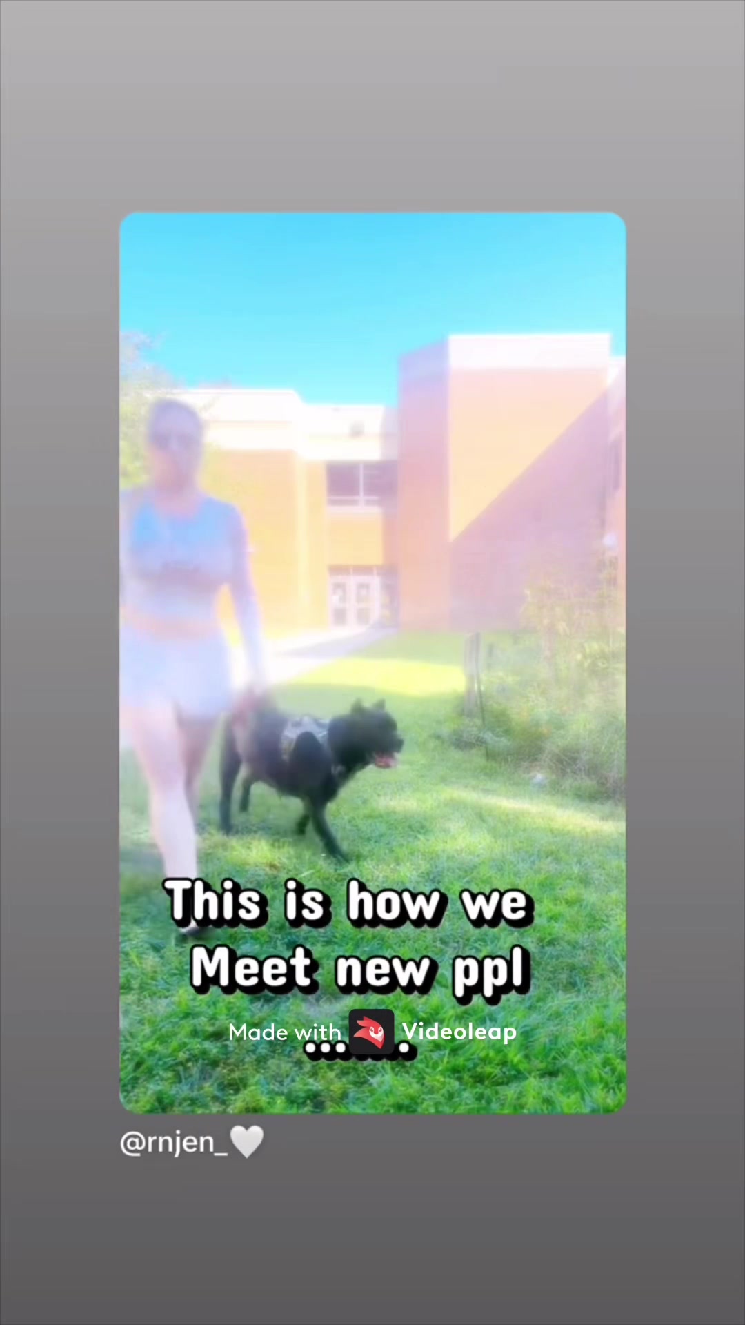 @Ultimate Puppies