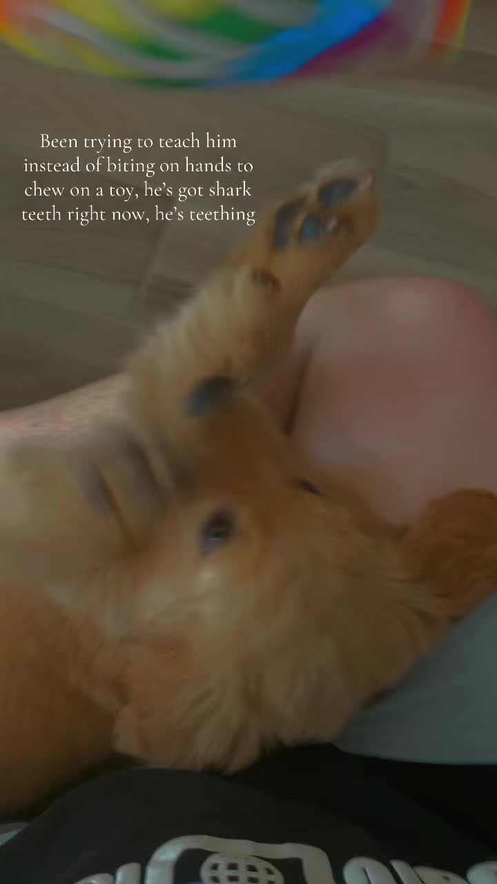 @HeyIts_Sheppard