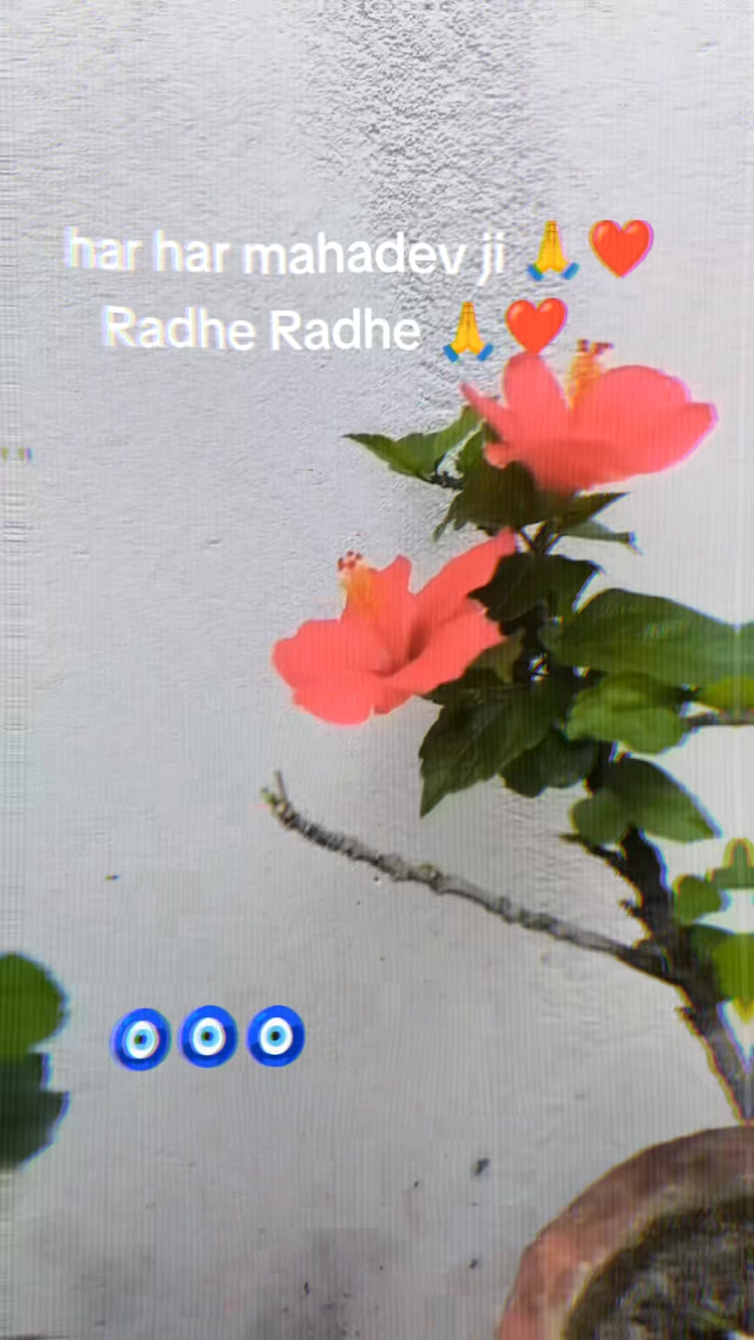 @jyoti1singh3