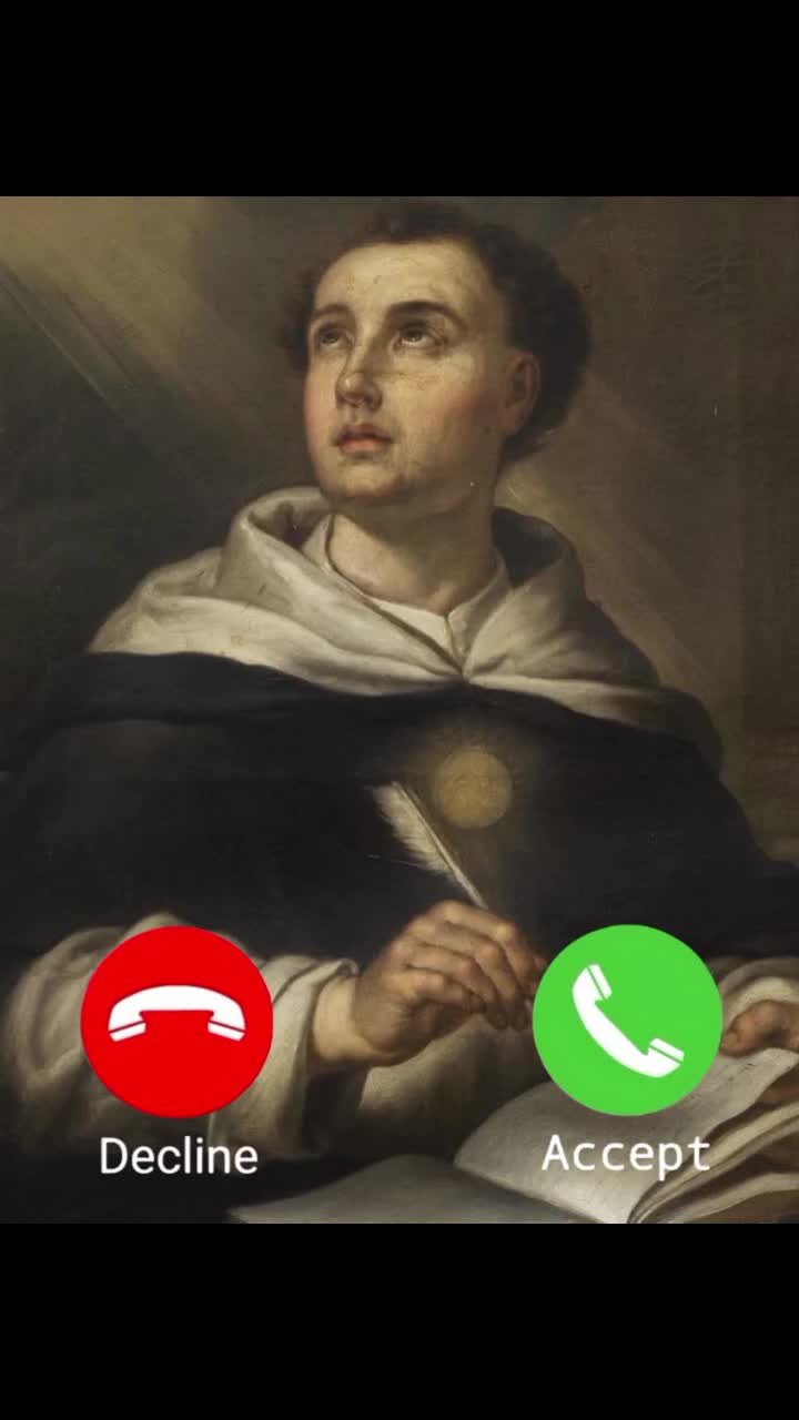 @Luluzzin o Cat&oacute;lico 🇻🇦