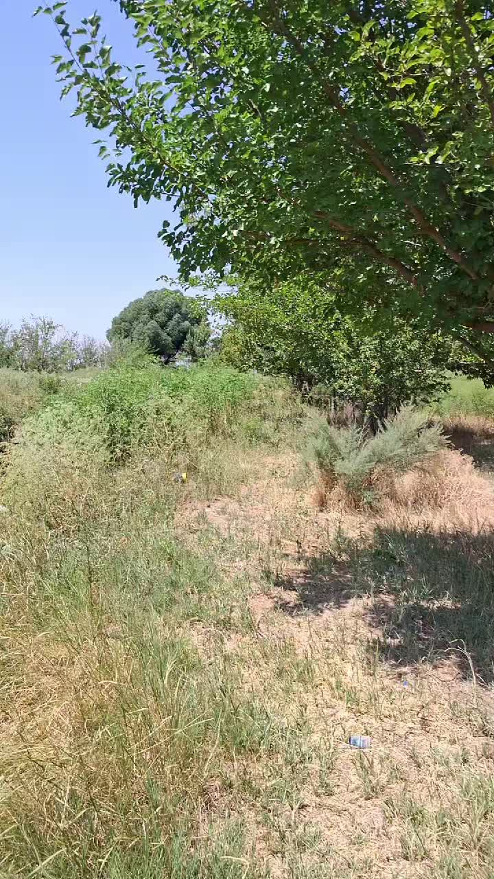 @_ṣ̌_irxan__K_