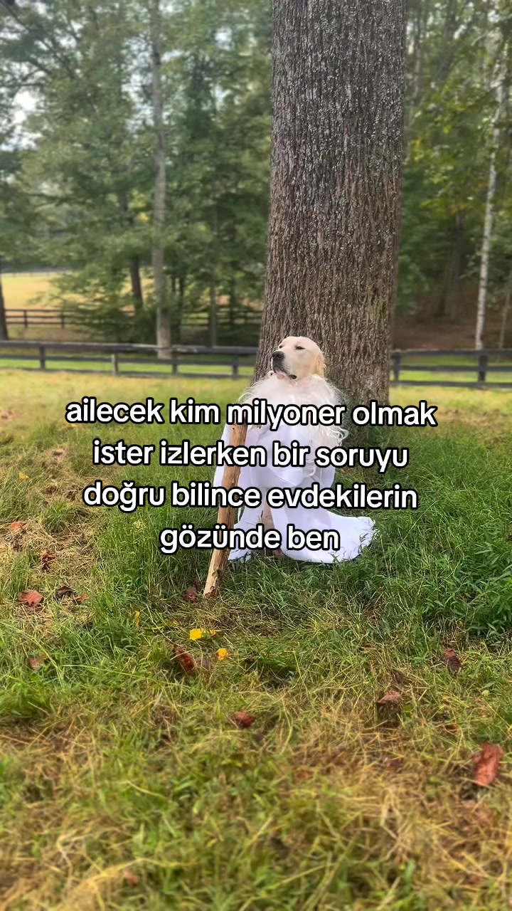 @rolland