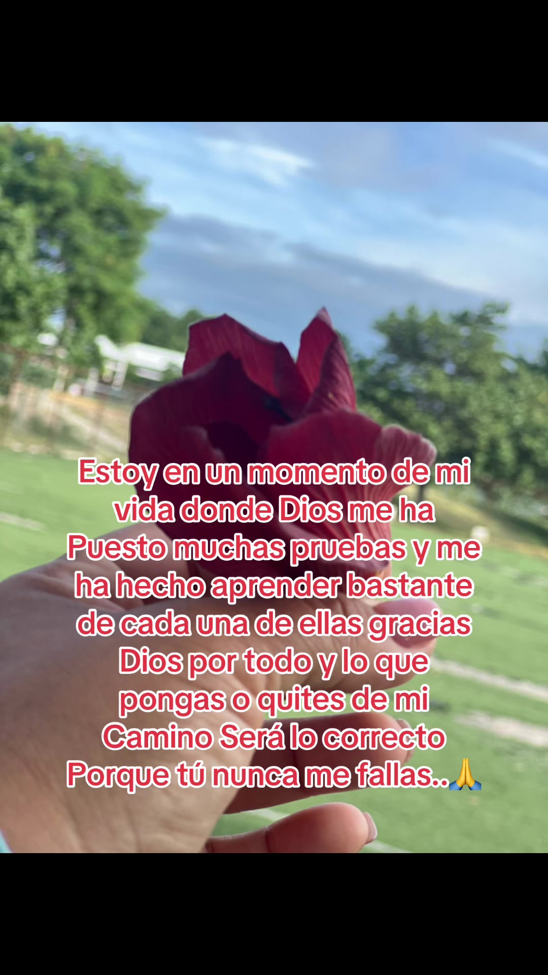 @🎀 𝒟𝓇𝒶 𝒴𝓊𝒞❀𝓇𝒶𝓏❁𝓃🎀