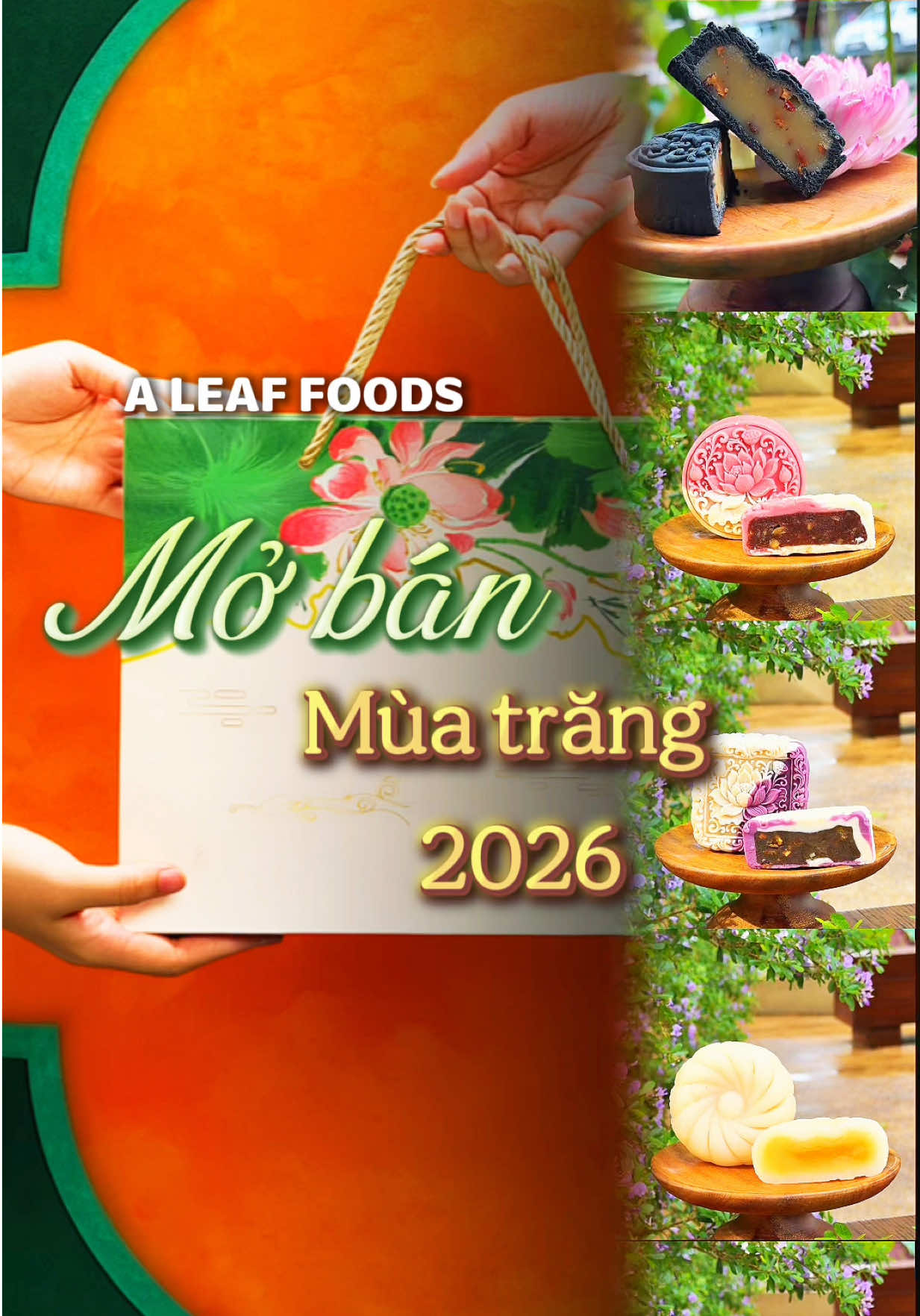 @A Leaf Foods