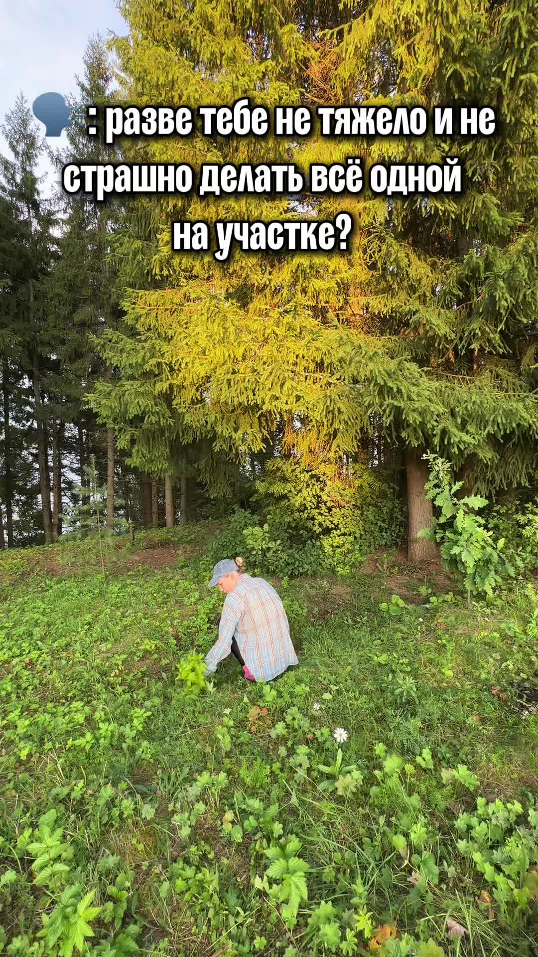 @Yahochupikachu