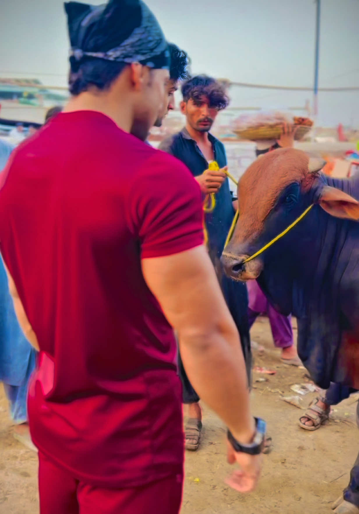 @💪Faizan Khan mr Asia👑🦅