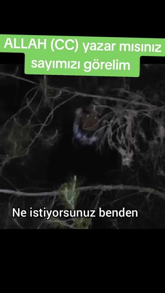 @arda.berk.26