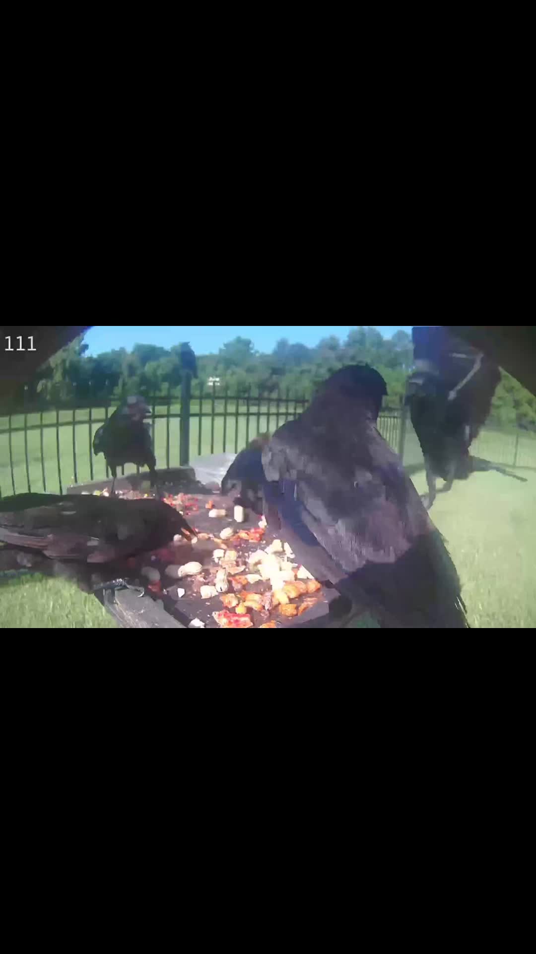 @Buffy_In_Louisiana