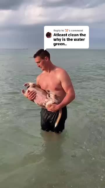 @You Me & The Dogs