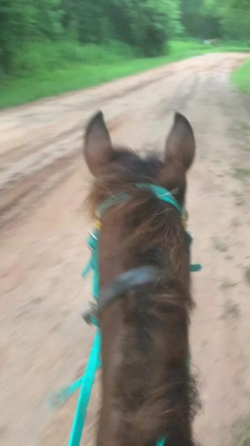 @MrRussellFarms🐴🐴🐴