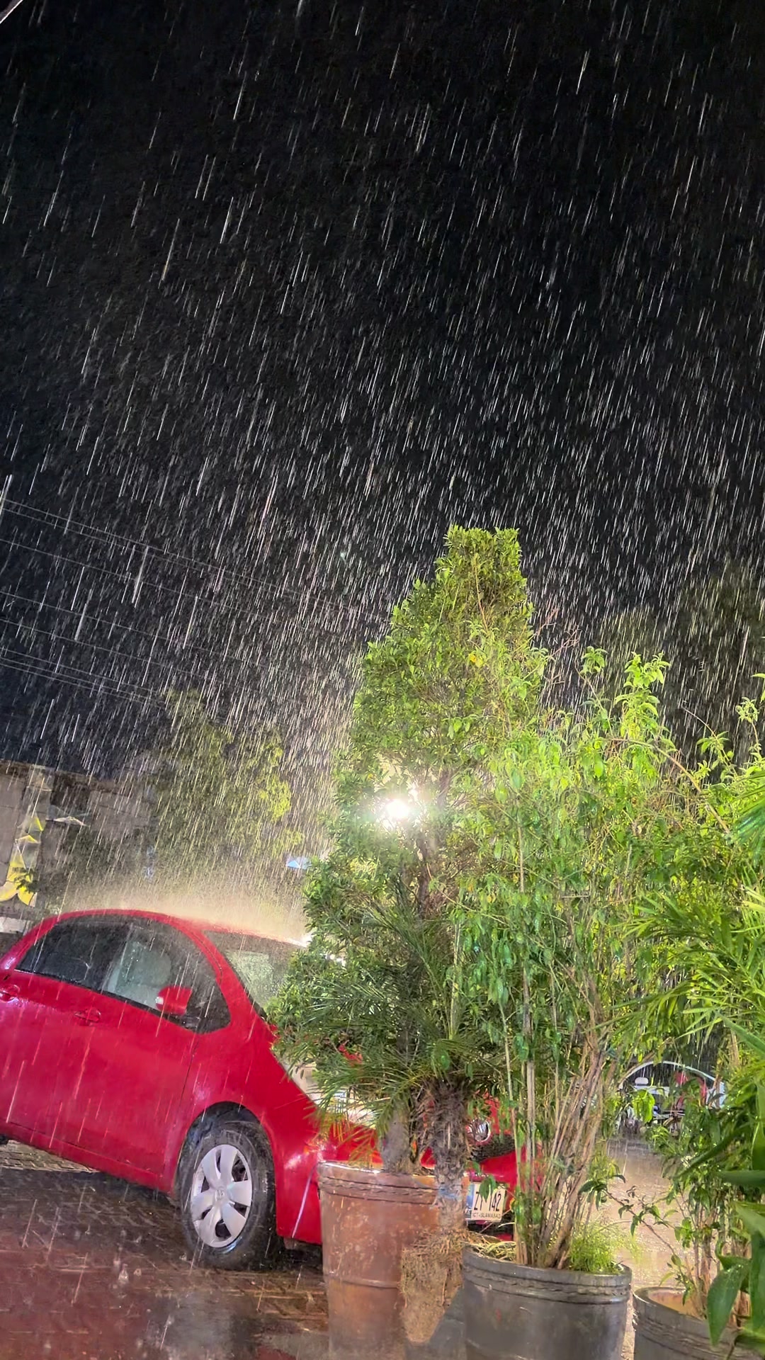 @eshu_shinwari 🥀🌺