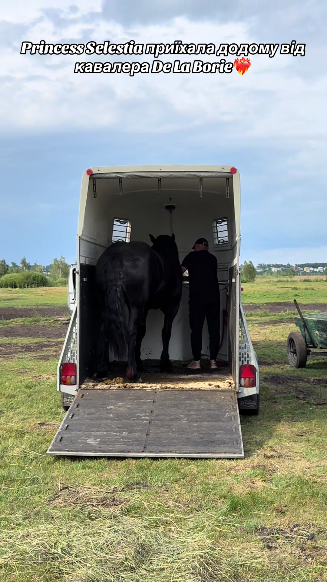 @_horses_farm_syrosh_