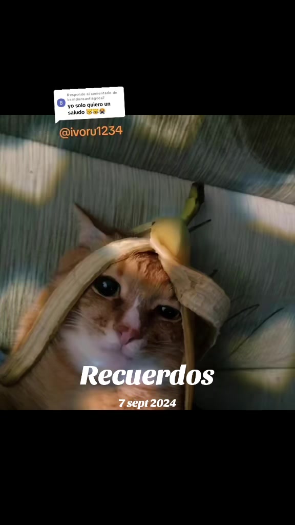 @Ivonne