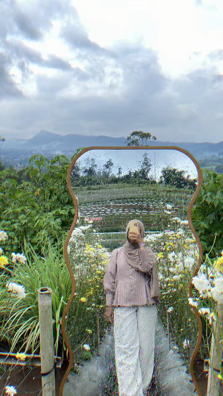 @st.maulia