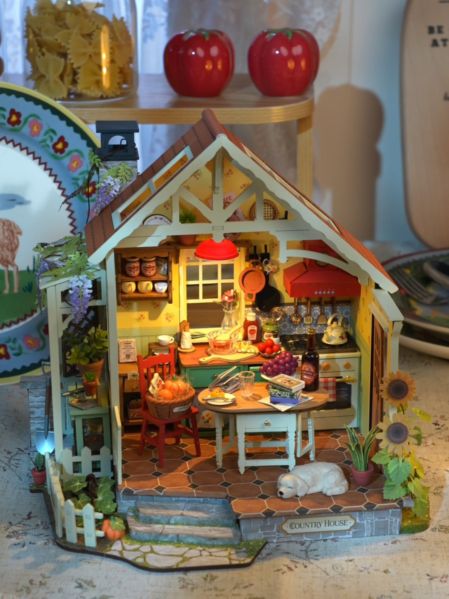 @rolife_official