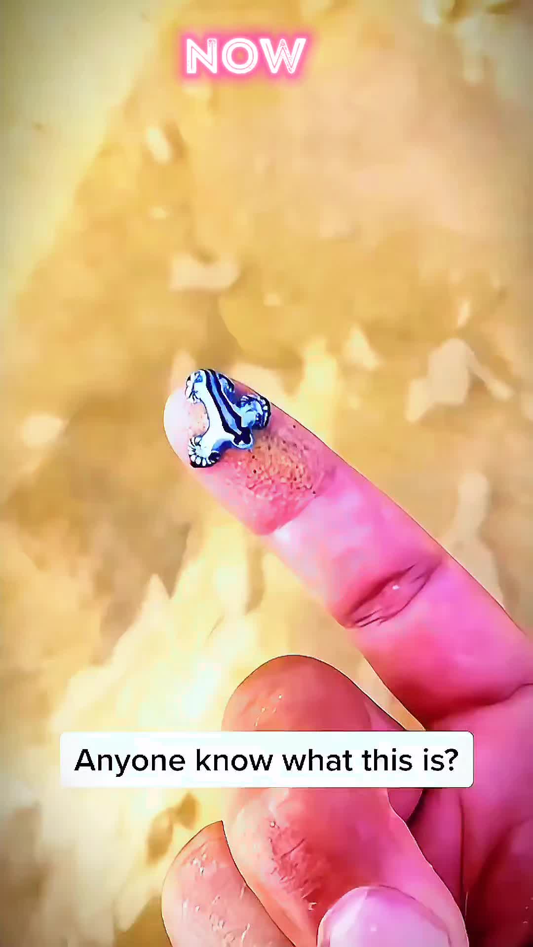@𝖑𝖊𝖔𝖘𝖕𝖊𝖊𝖉☠️🔥