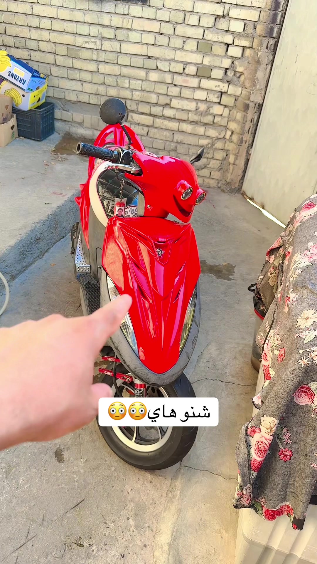 @حسين الالماني🇮🇶 🦋(◠‿◕)🇹🇼2