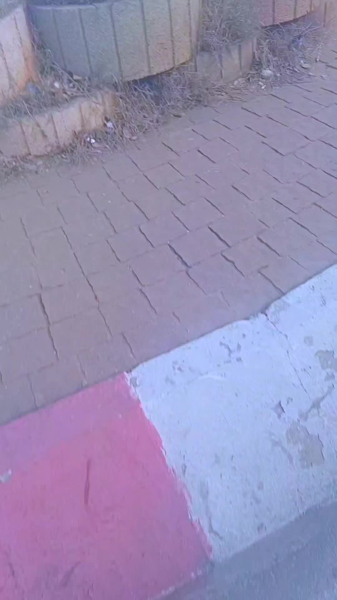 @📢 تخفيضات تلمسان 📢