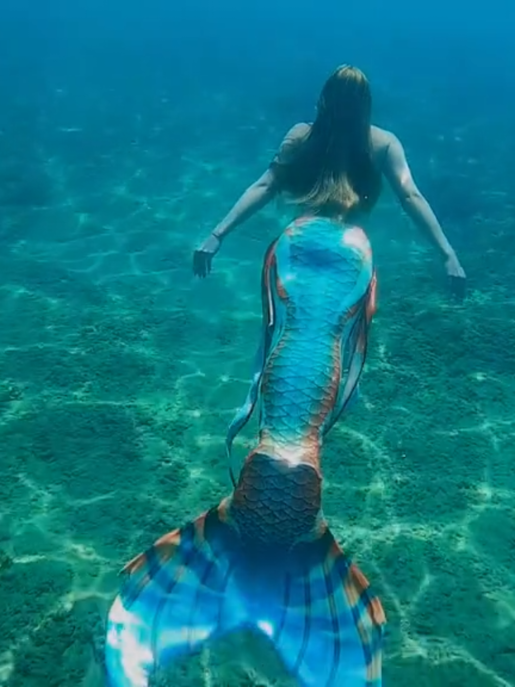 @💙Ruby🌊