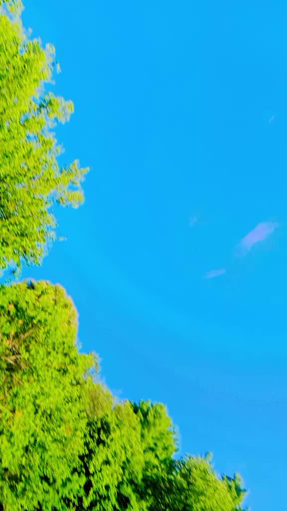 @😉ღ_𝙄𝙩𝙭_𝙉𝙊𝙢𝙞_ღ😎