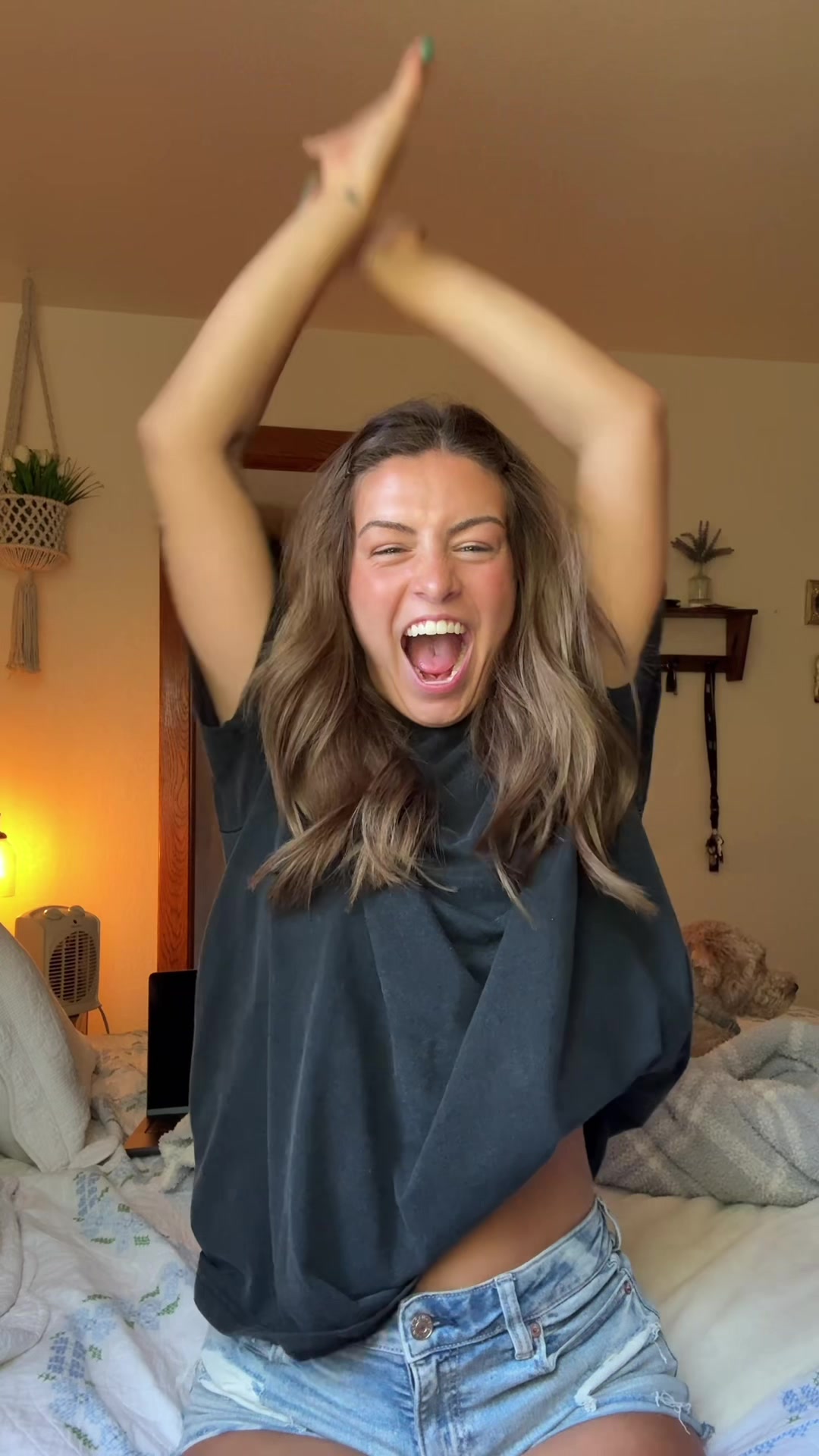 @ellabraungardt