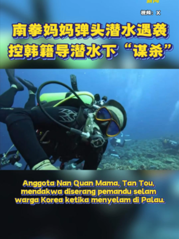 @中国报